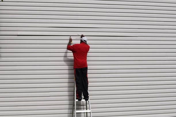 Best Aluminum Siding Installation  in Rushville, NE